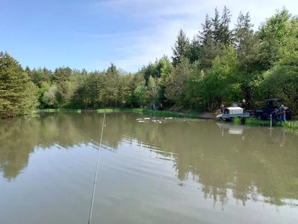 Lake view