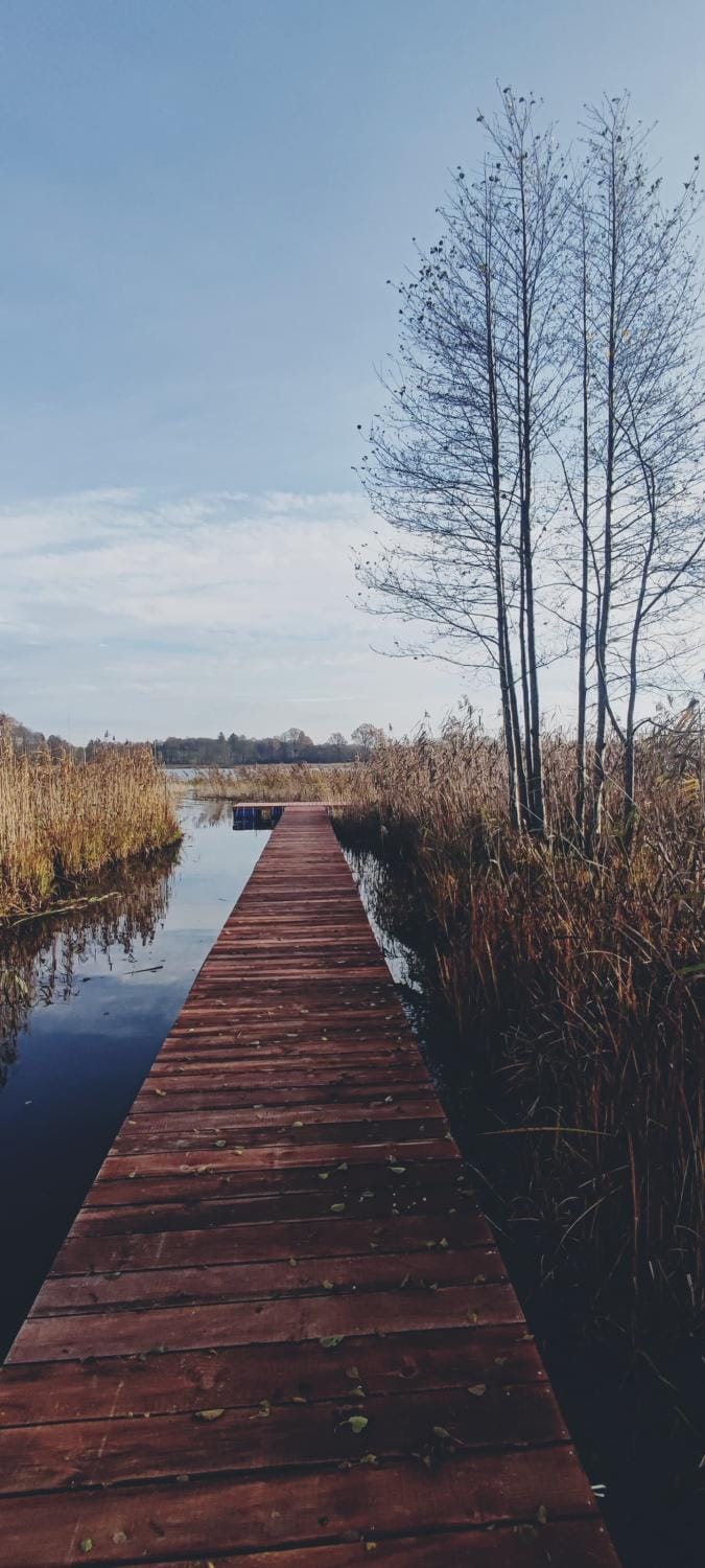 Natural landscape, Fishing, Lake view