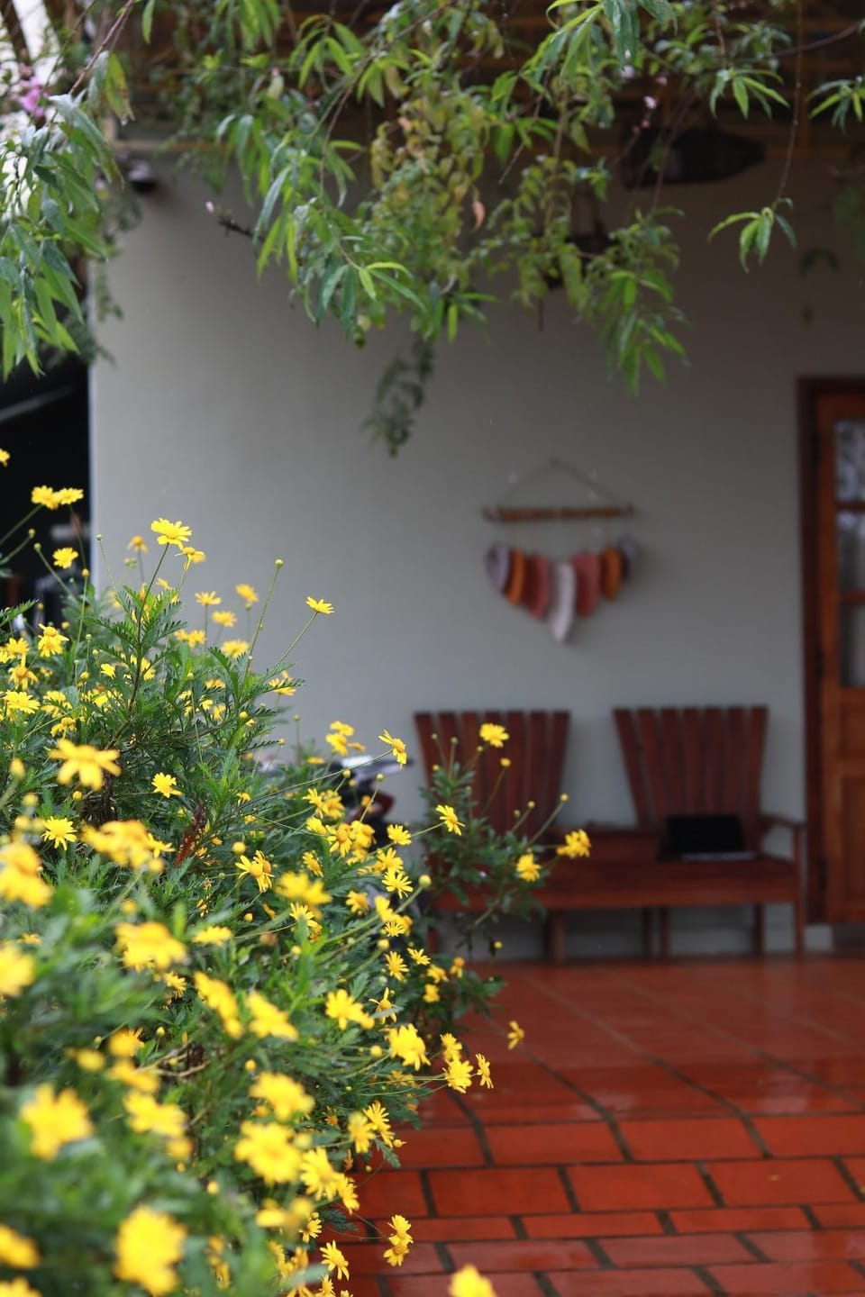 YLang Home Măng Đen Bed and Breakfast in Vietnam