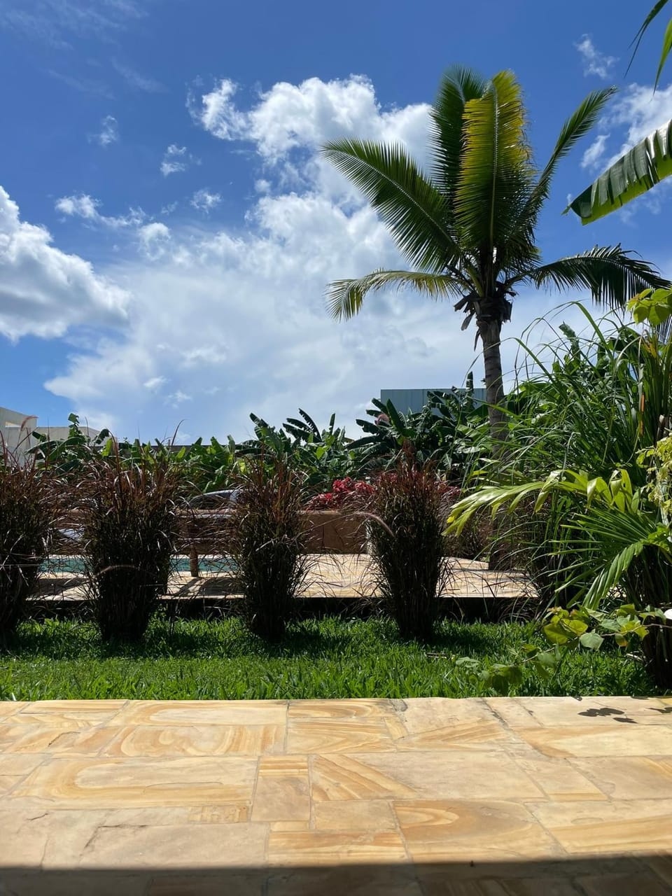 Spring, Day, Garden, Garden view, Swimming pool