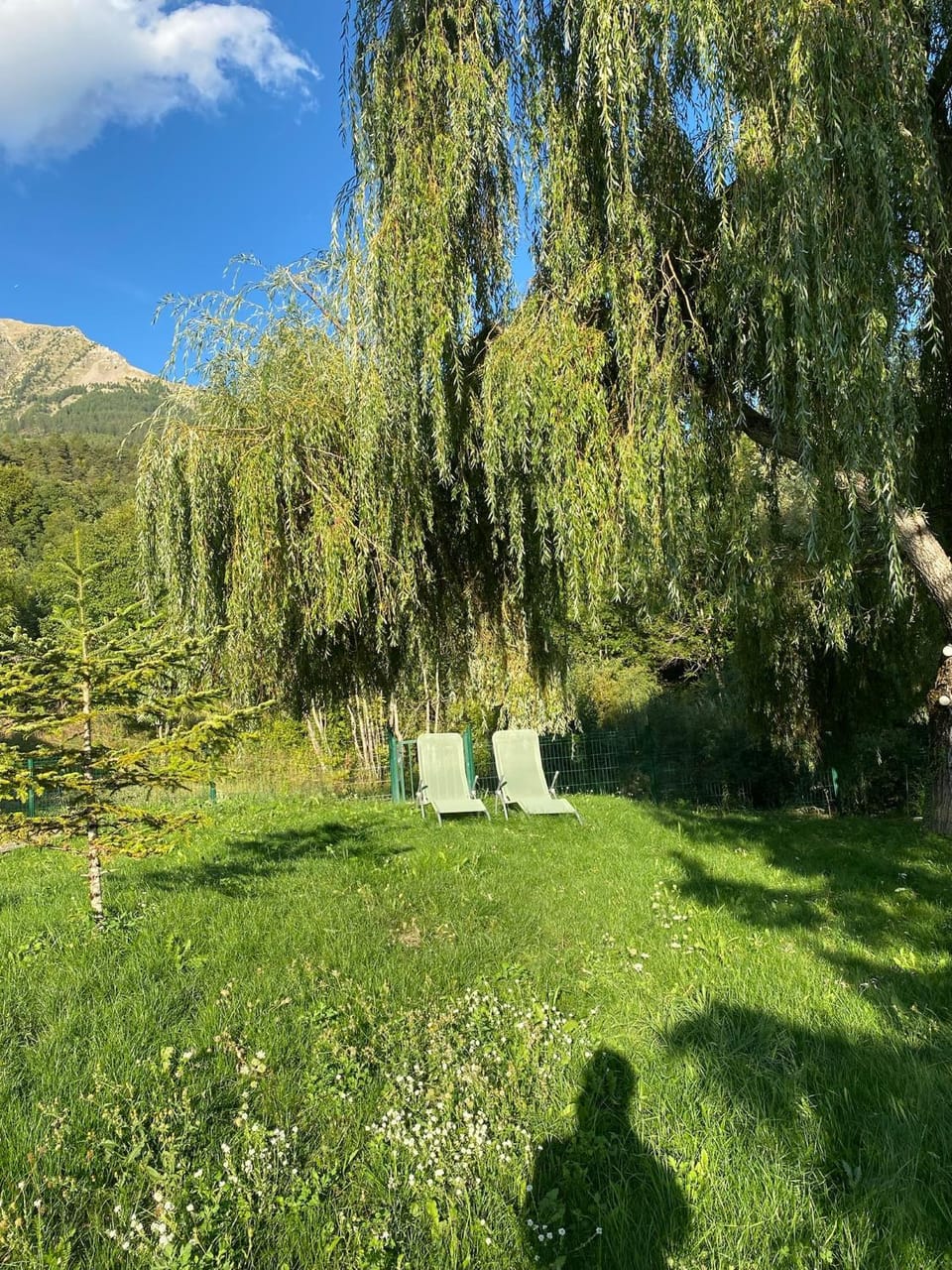Garden view