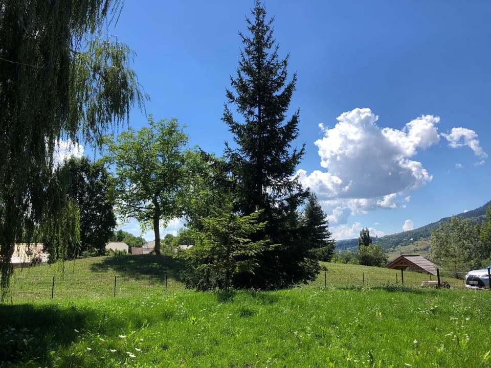 Mountain view