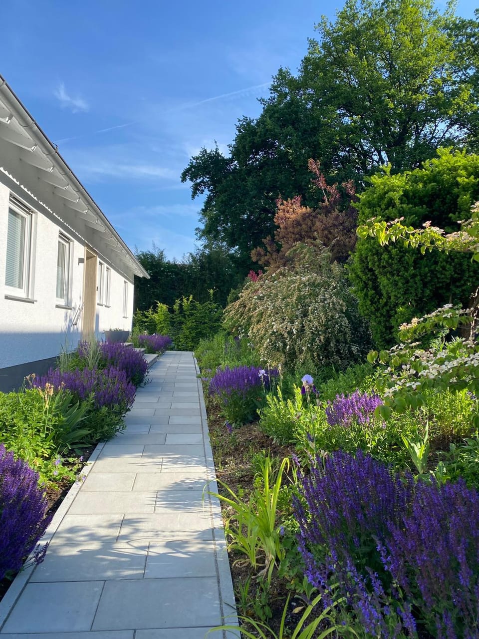 Property building, Garden