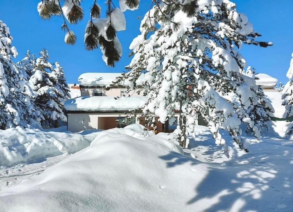 Property building, Day, Natural landscape, Winter