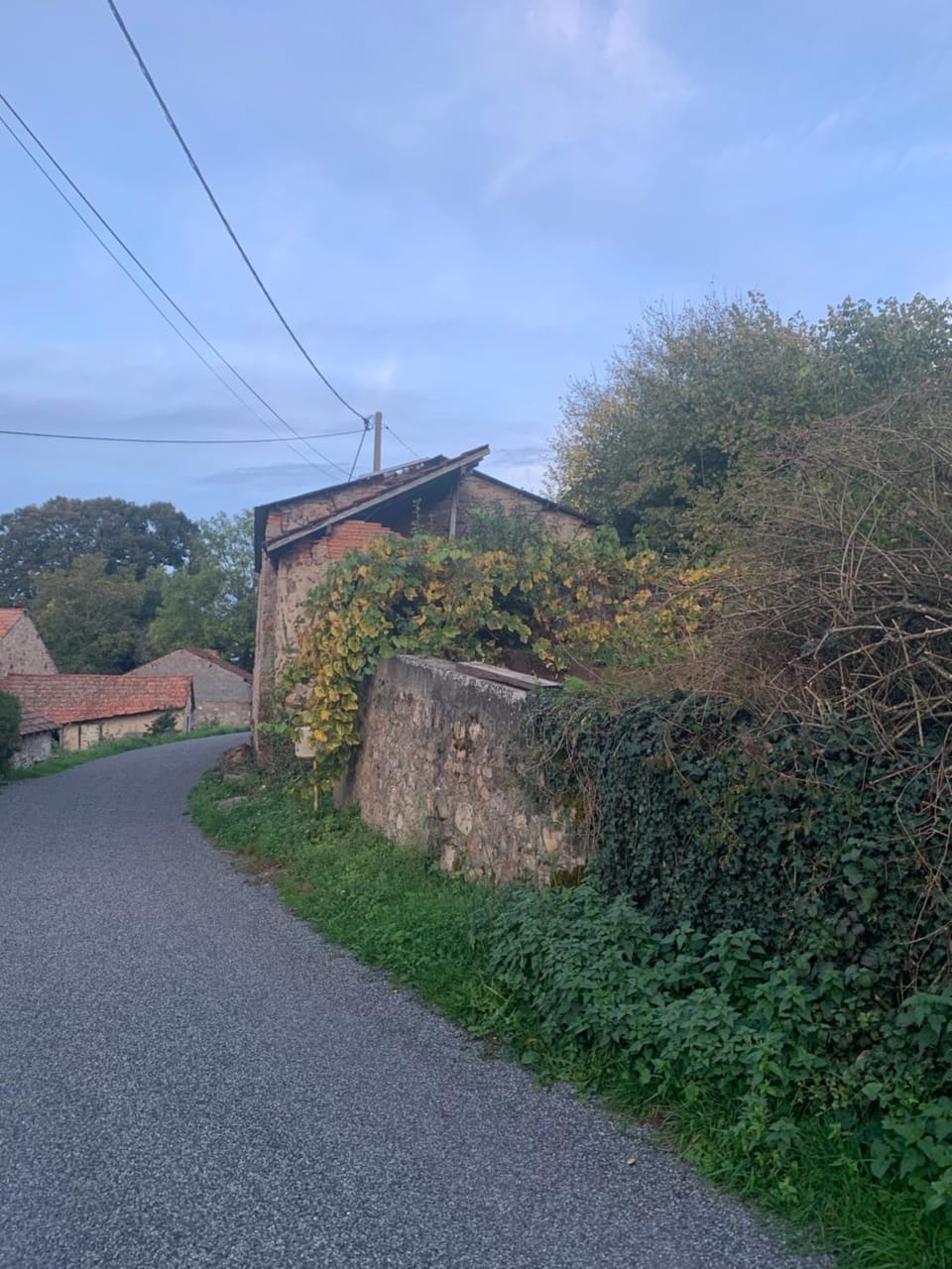Busset Liages situé dans le Bourbonnais 1 chambres lit double et un clic clac House in Auvergne-Rhône-Alpes