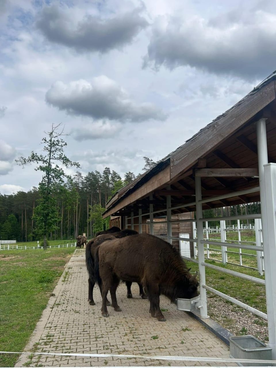 Błękitny Domek- dom i dwa oddzielne apartamenty House in Belarus