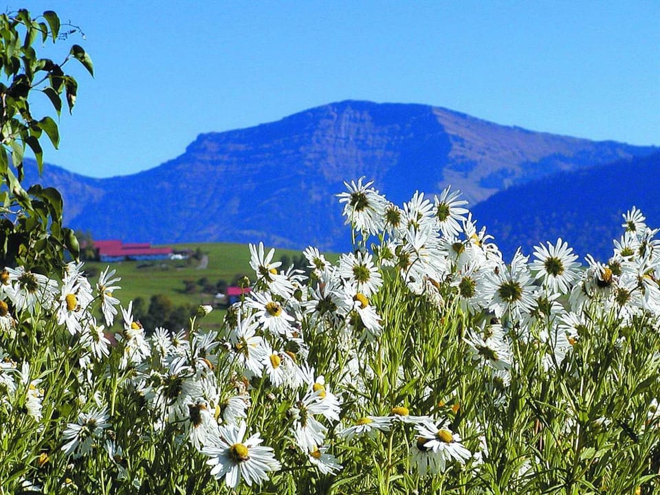 Natural landscape, Mountain view