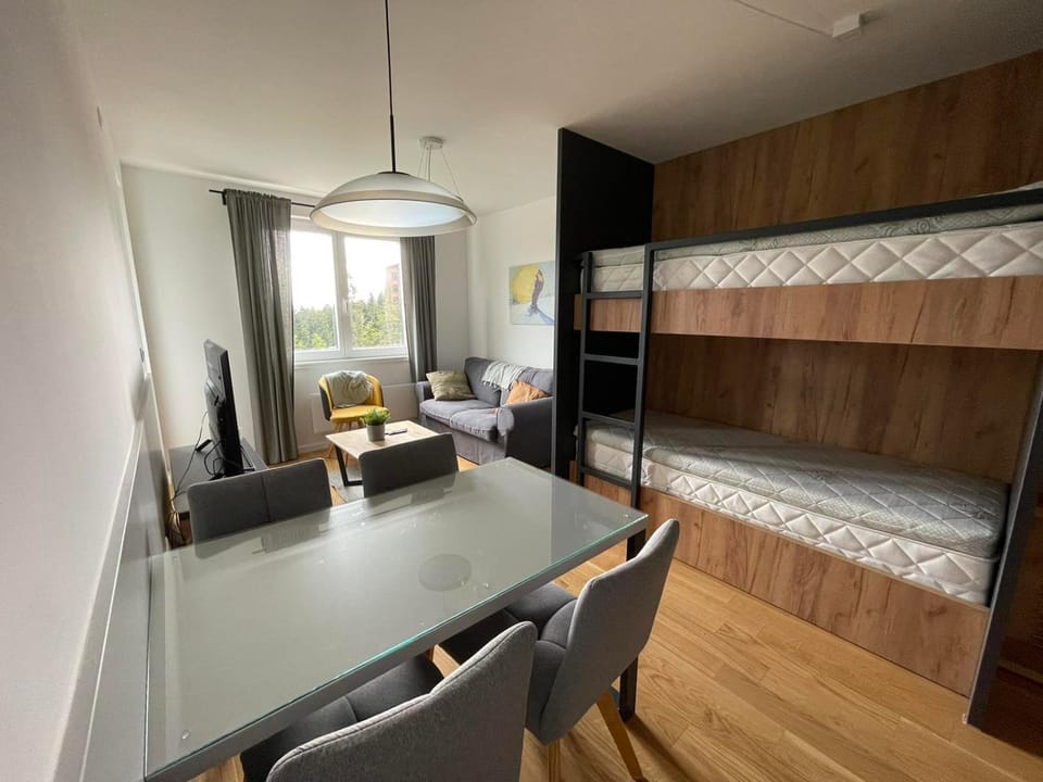 Living room, Seating area, bunk bed