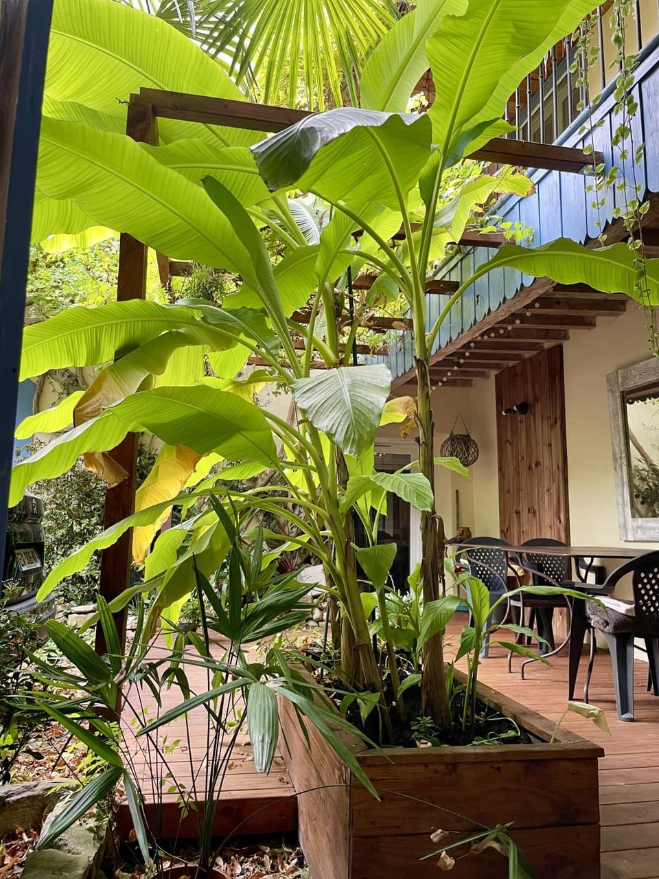 Patio, Balcony/Terrace