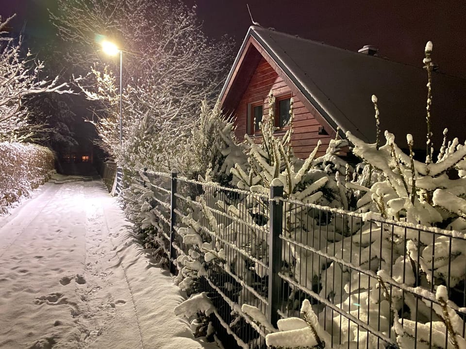 Winter