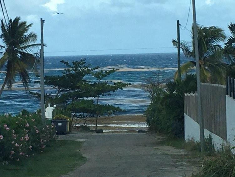 Sea view