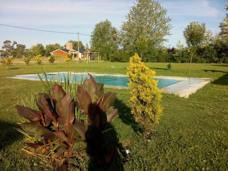 Natural landscape, Garden, Garden view, Pool view, Swimming pool
