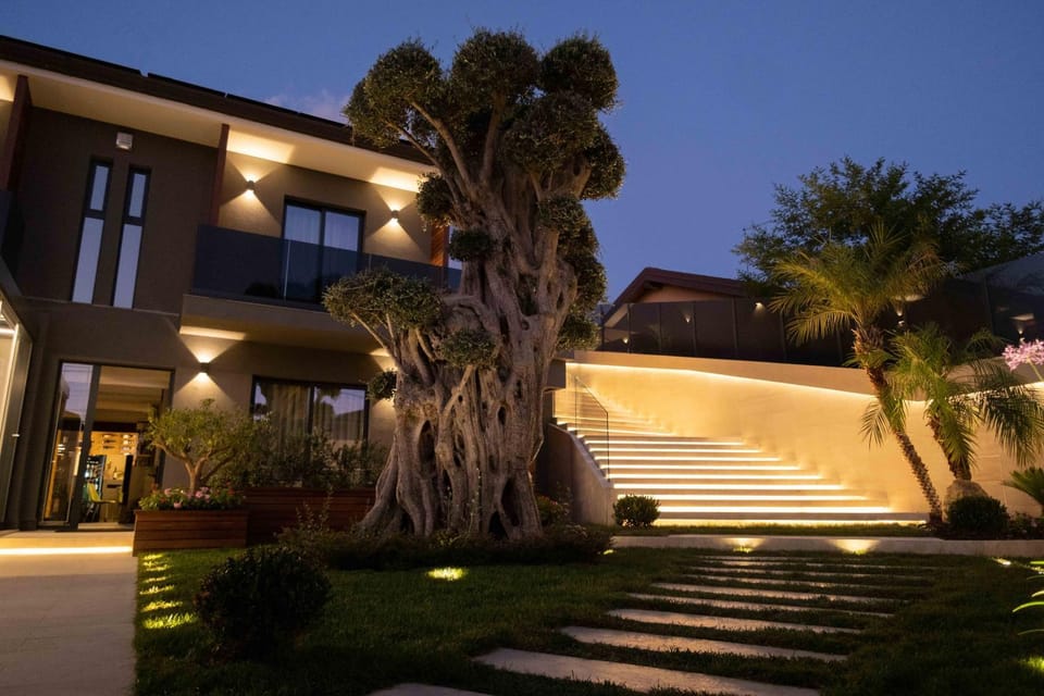 Property building, Night, Garden, Garden, Garden view