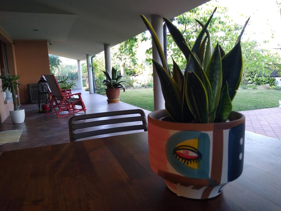 Patio, Garden, Balcony/Terrace