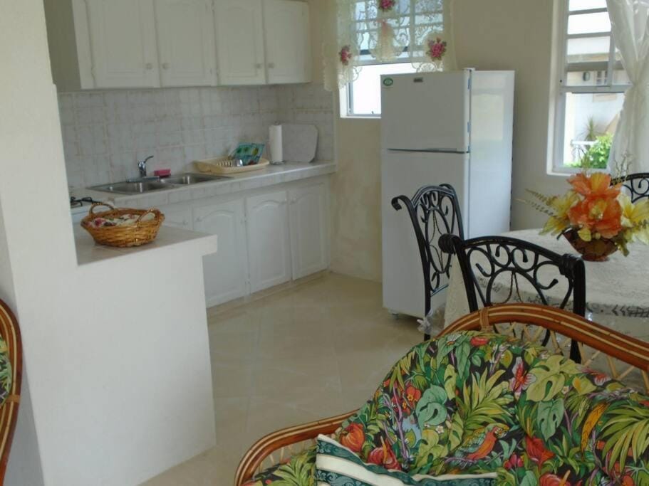 Simply Beautiful Two Storey home/apt awaits you Apartment in Saint James