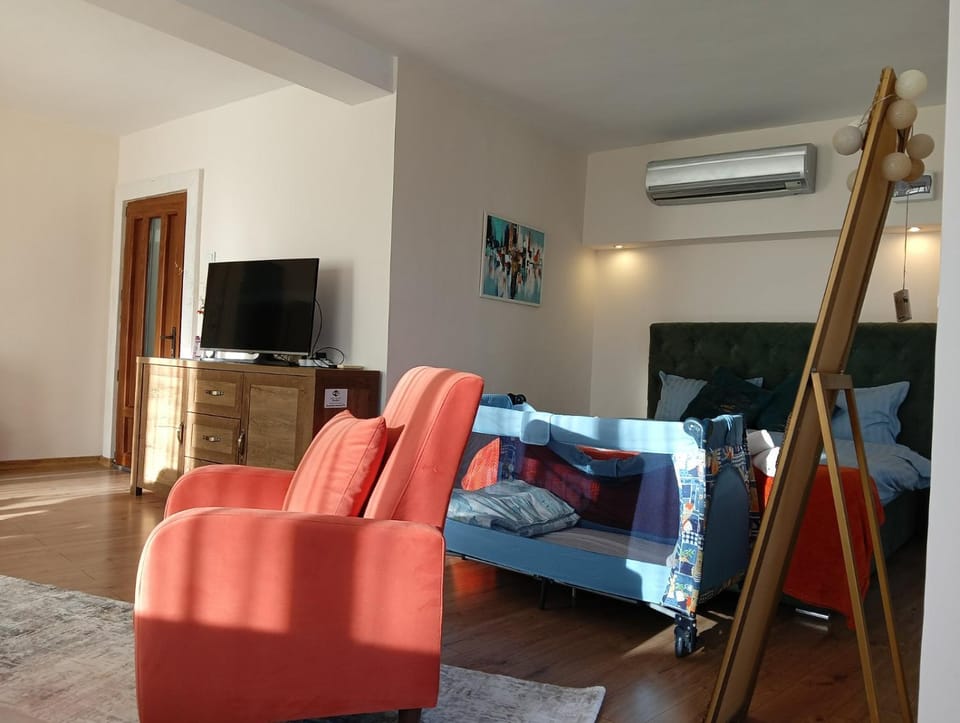 Communal lounge/ TV room, Bed, TV and multimedia, Photo of the whole room, Seating area, Evening entertainment, Bedroom, air conditioner