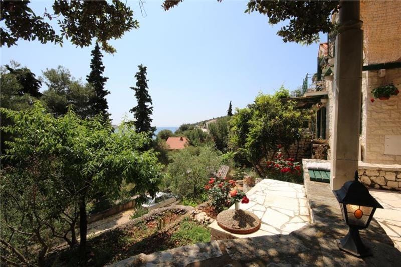 Natural landscape, Garden