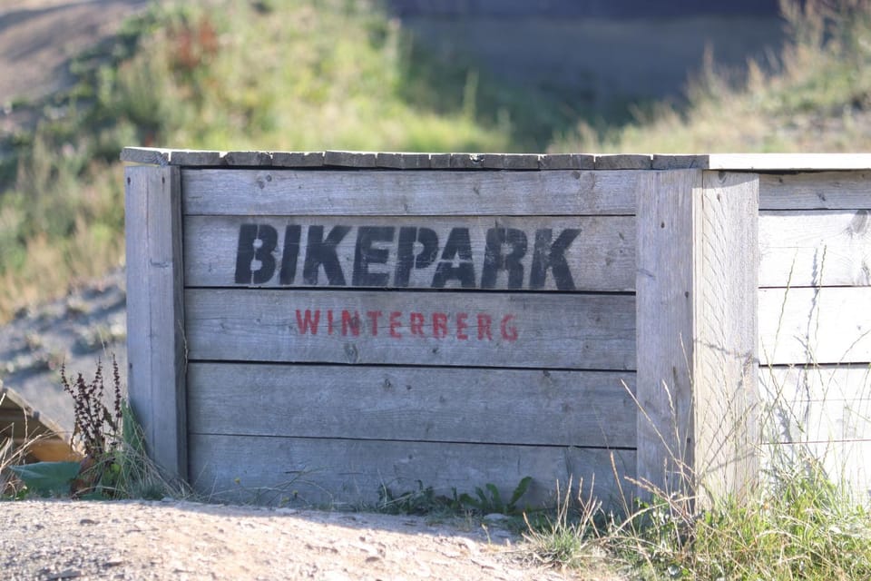 Cycling, Sports