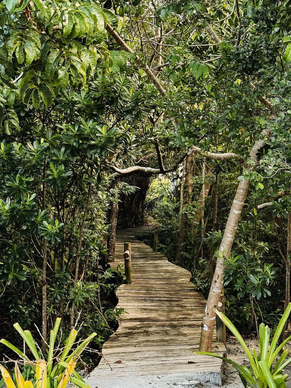 Natural landscape, Garden, Area and facilities