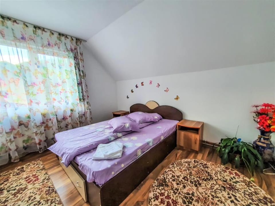 Casa de langa rau RUCAR House in Brașov County