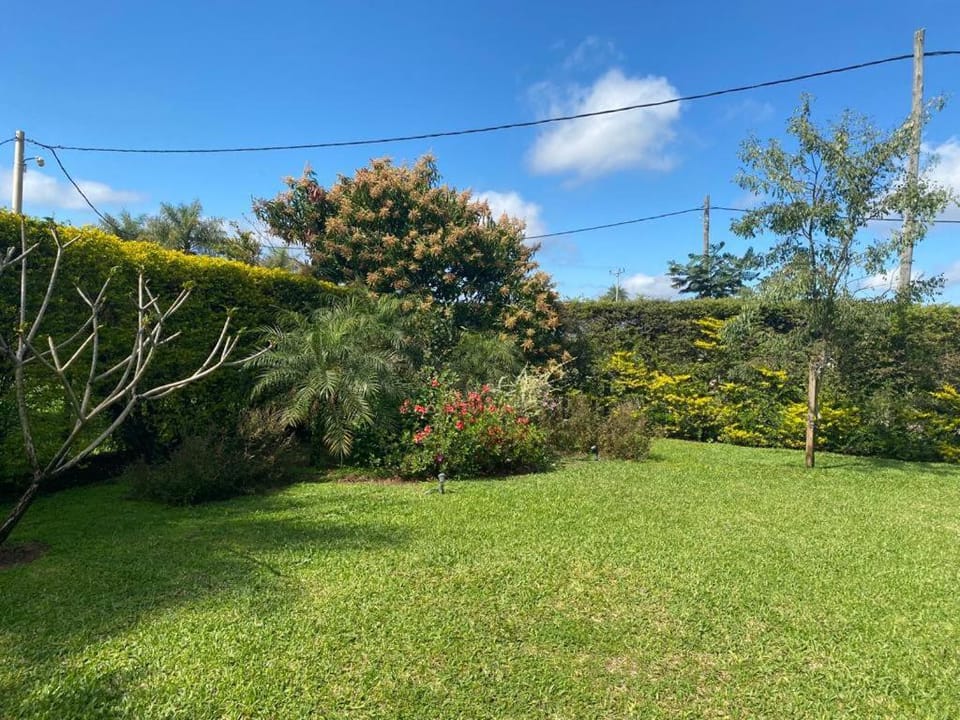 Garden, Garden view