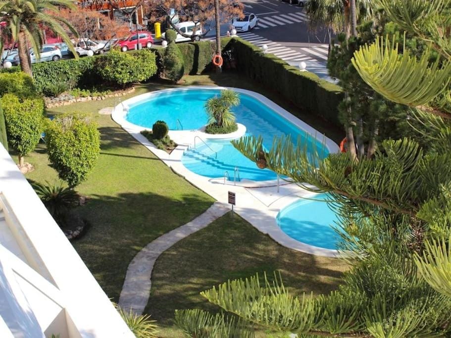Natural landscape, Garden, Garden view, Pool view, Swimming pool