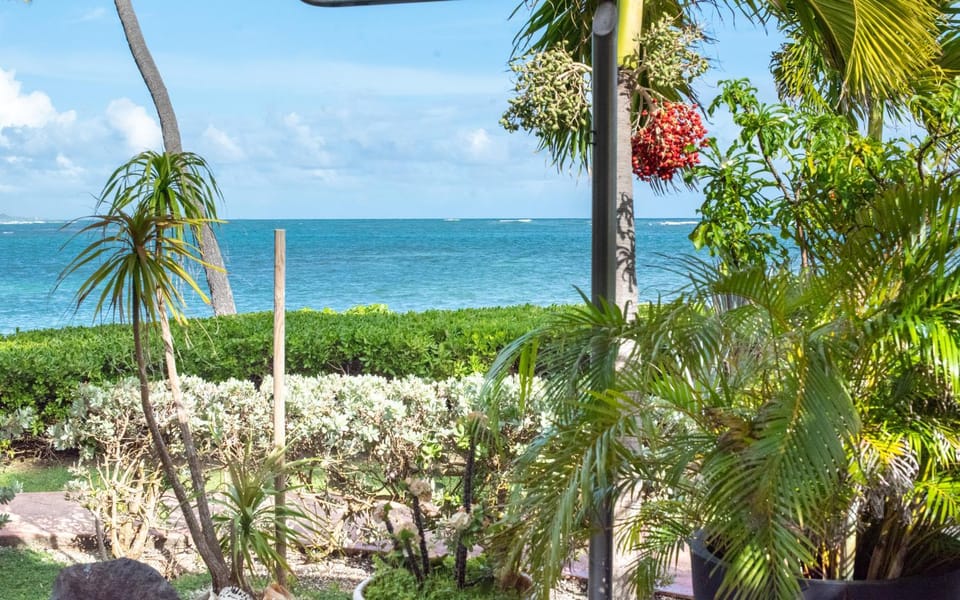 Sea view
