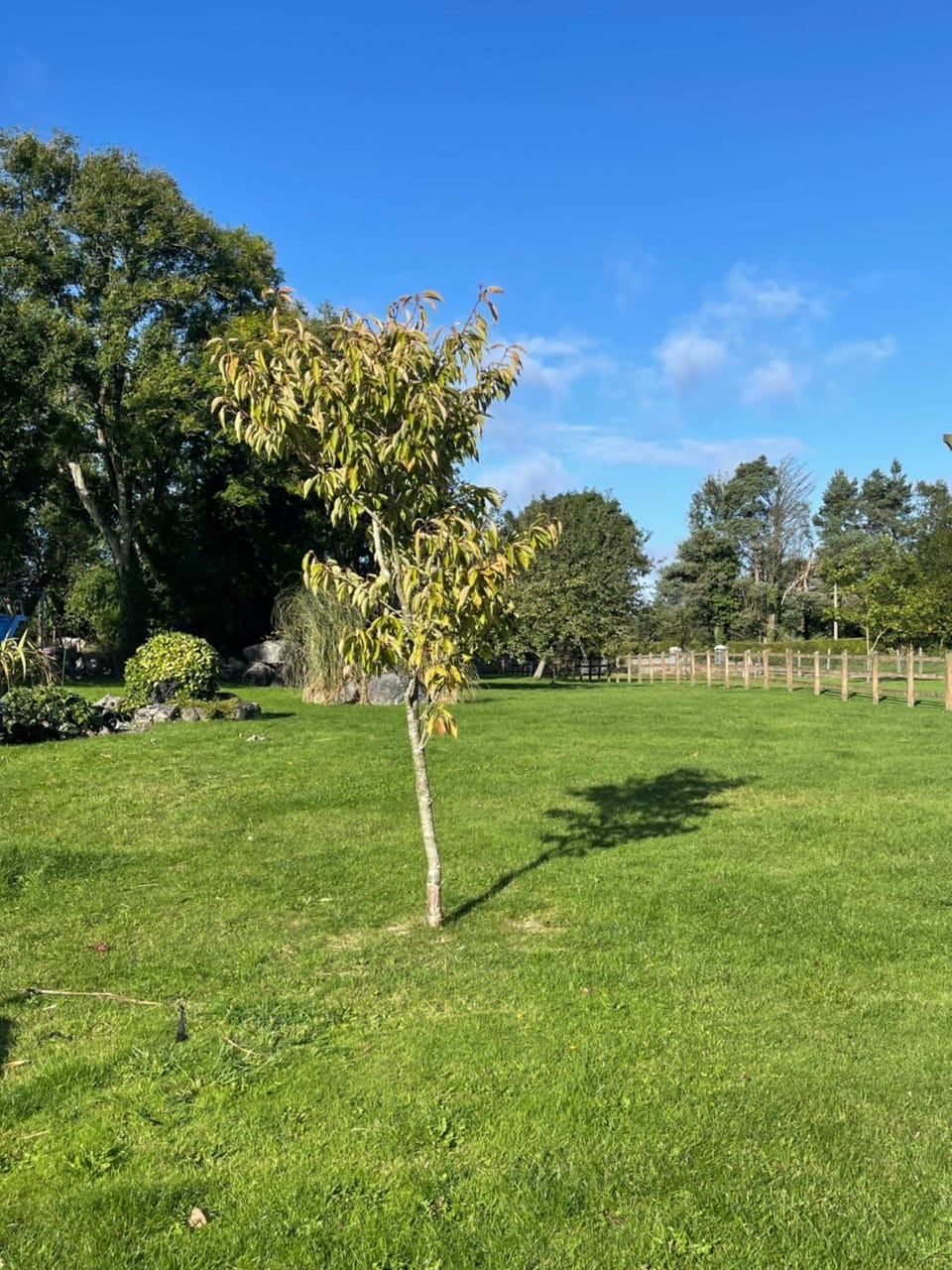 Cosy apartment with fire stove Apartment in County Galway