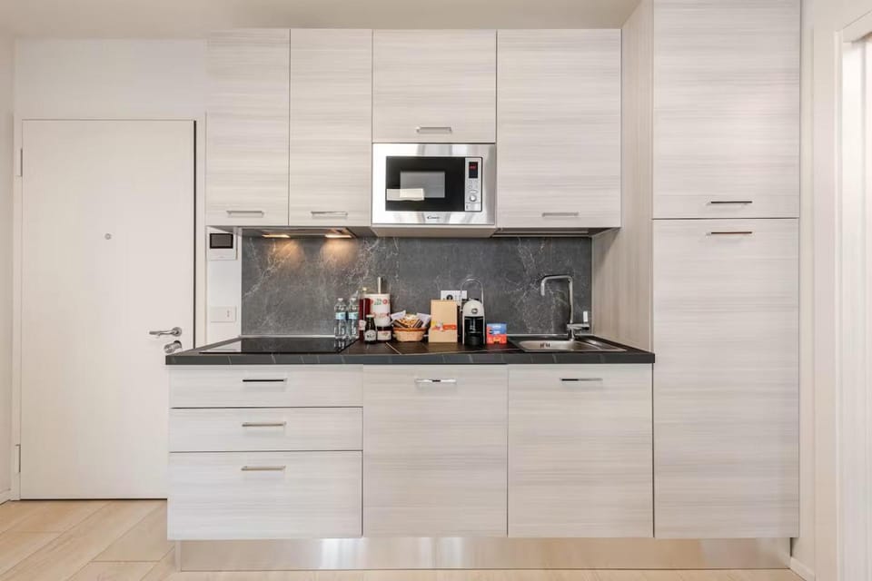 Coffee/tea facilities, Kitchen or kitchenette, minibar, stove