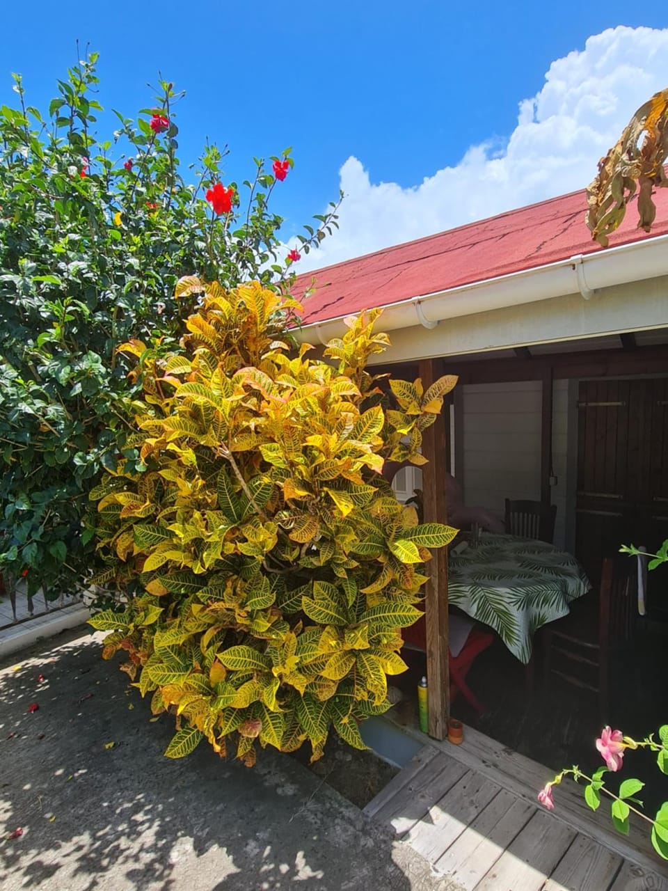 Patio