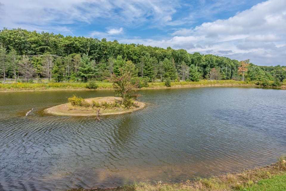Natural landscape, Garden view