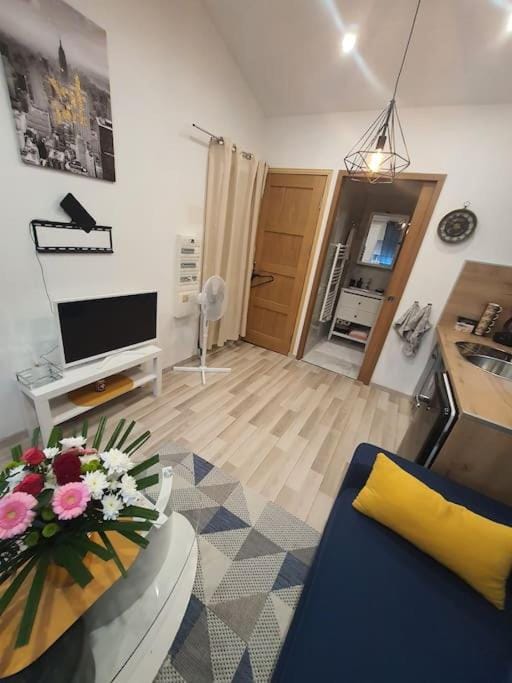Studio agréable Apartment in Manosque