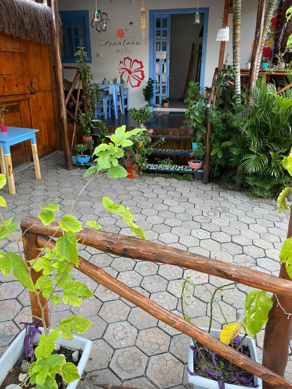 Aurora Hostel Hostel in Pipa Beach