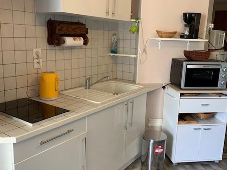 Appartement 1 chambre proche des Thermes - Animaux admis - FR-1-503-133 Apartment in Balaruc-les-Bains