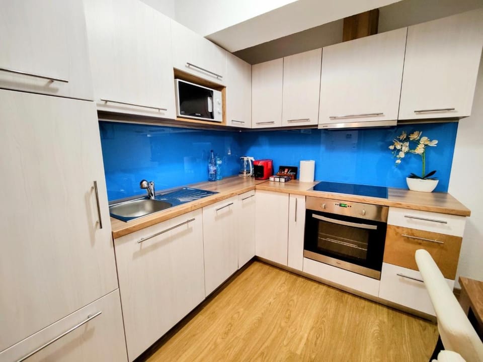 Kitchen or kitchenette, dishwasher, minibar, pet friendly, stove