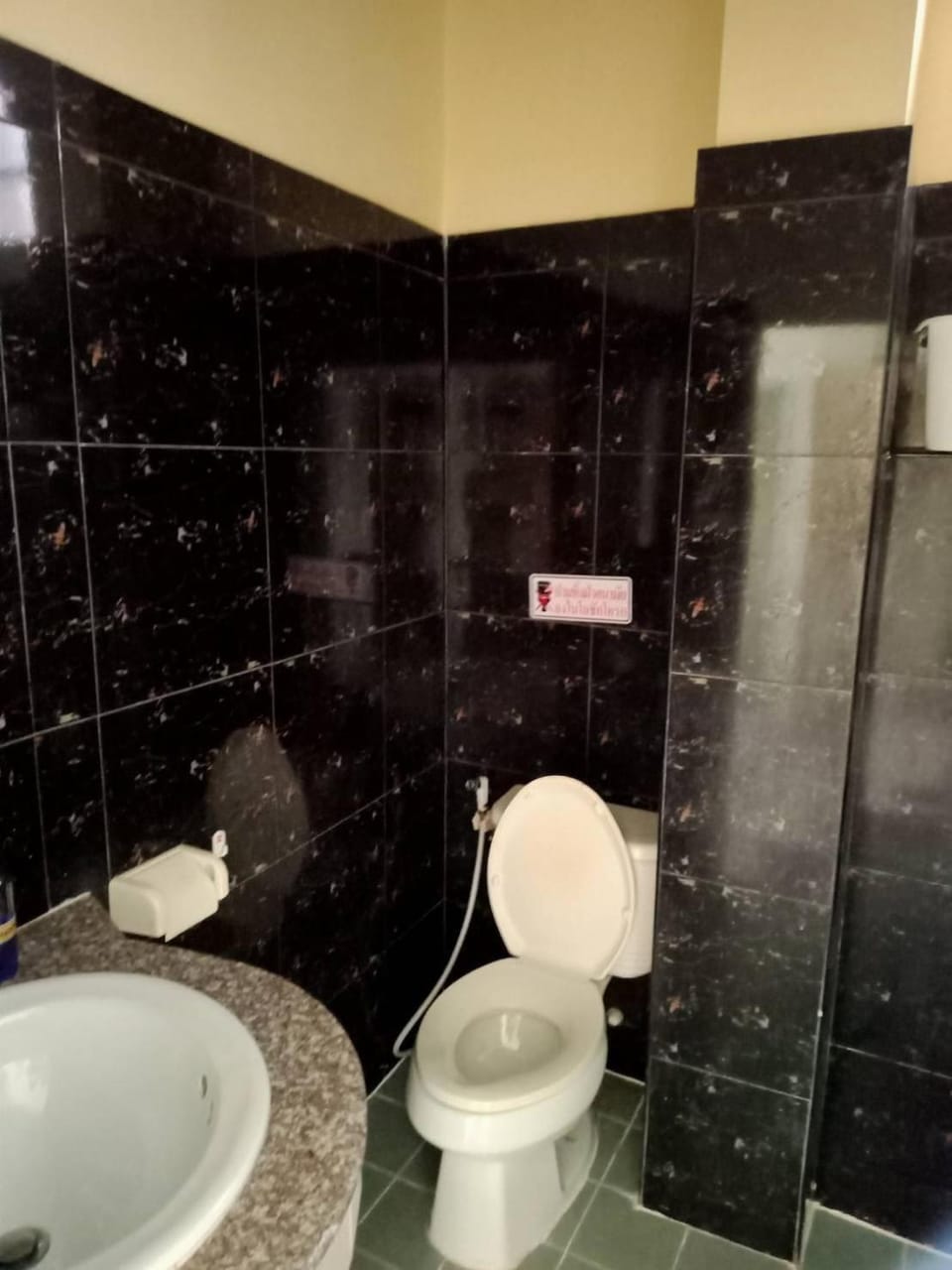 Toilet