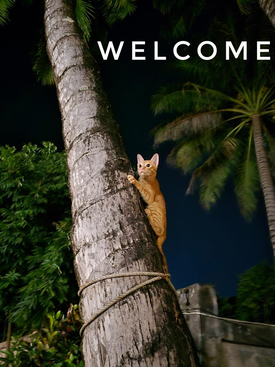 Natural landscape, Text overlay