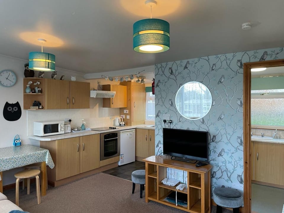TV and multimedia, Kitchen or kitchenette, Dining area, minibar, oven, pet friendly, stove, toaster