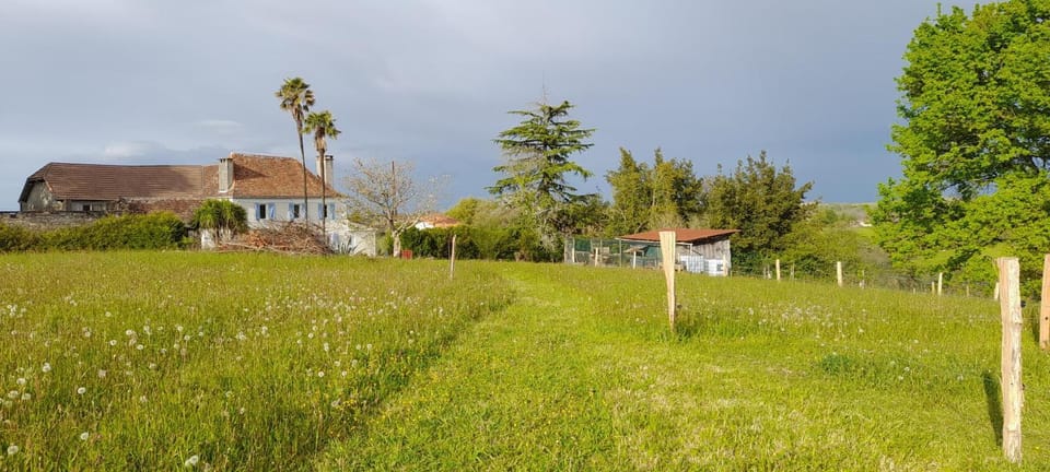 Property building, Natural landscape, Garden, Garden view, Area and facilities