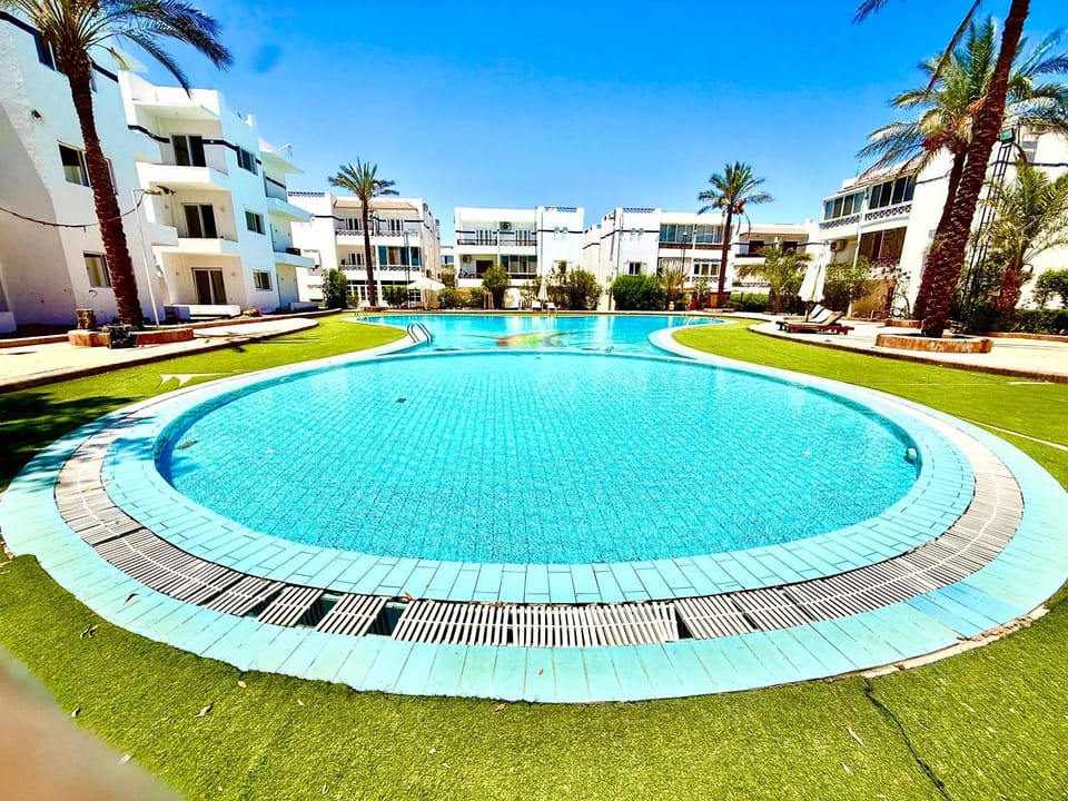 Pool view, Swimming pool, sunbed