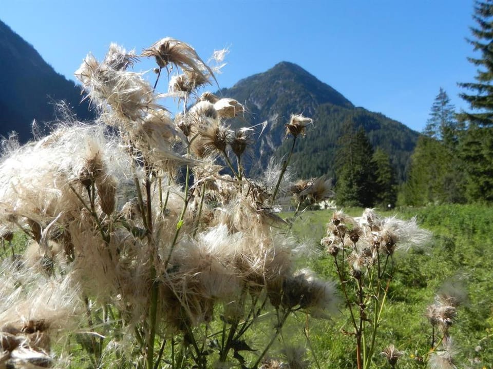 Day, Natural landscape, Mountain view