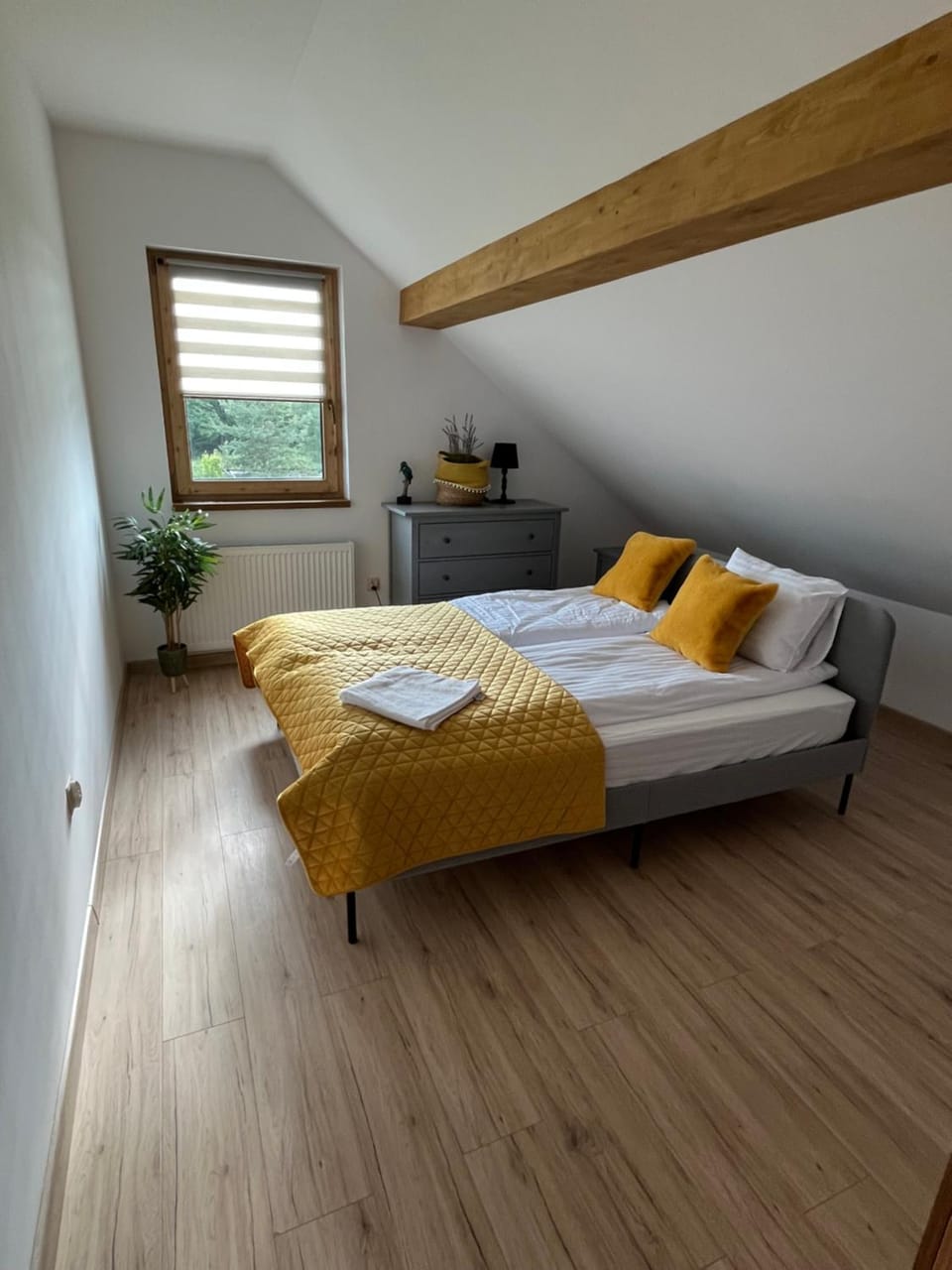 Bed, Living room, Photo of the whole room, Bedroom