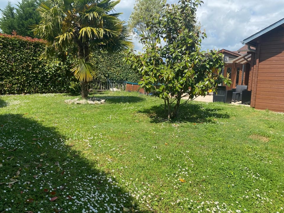 Garden, Garden view