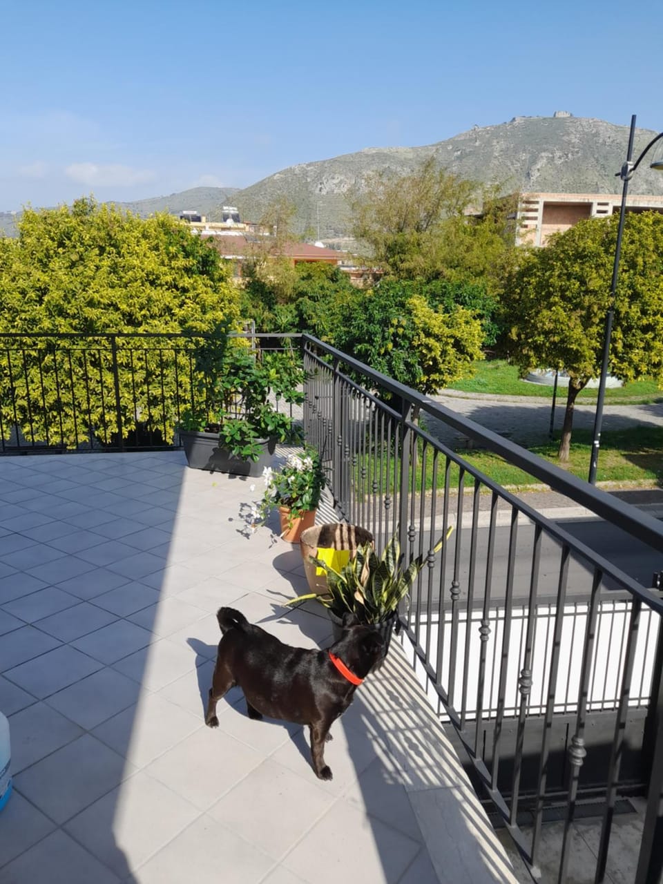 A Casa di Falco Apartment in Campania