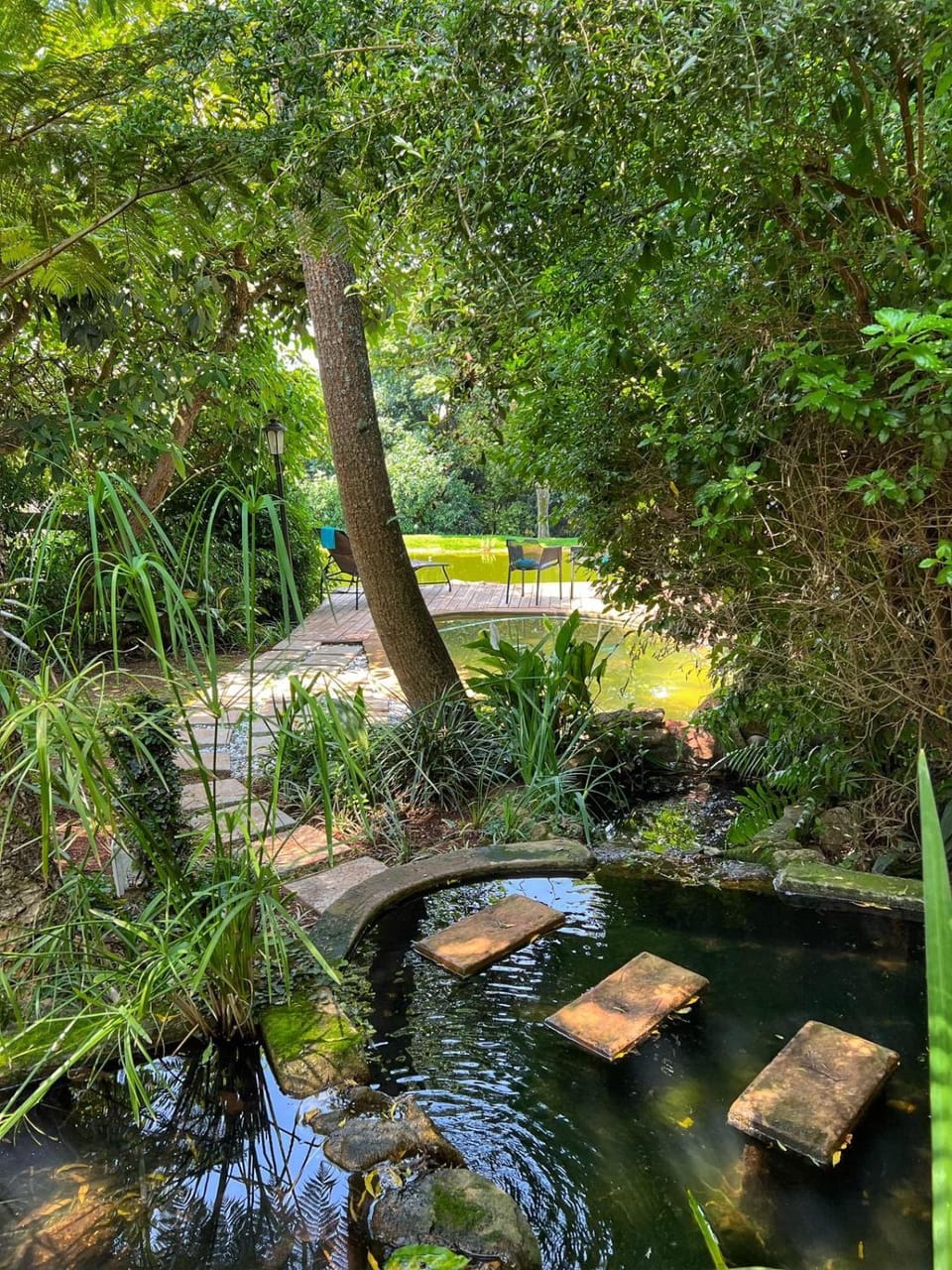 Garden