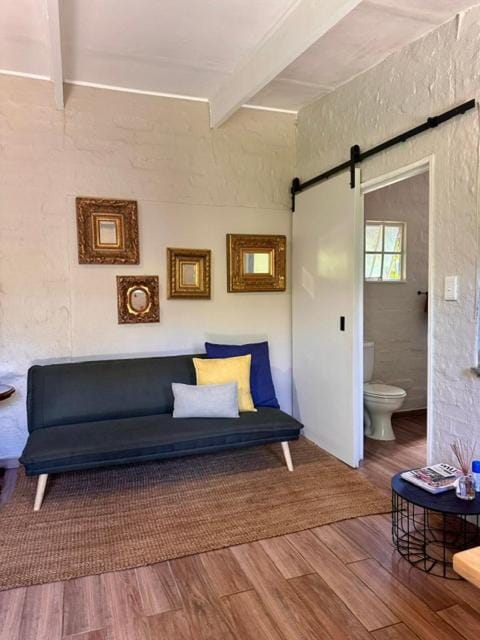 Chocolate Orchid Bed and Breakfast in South Africa