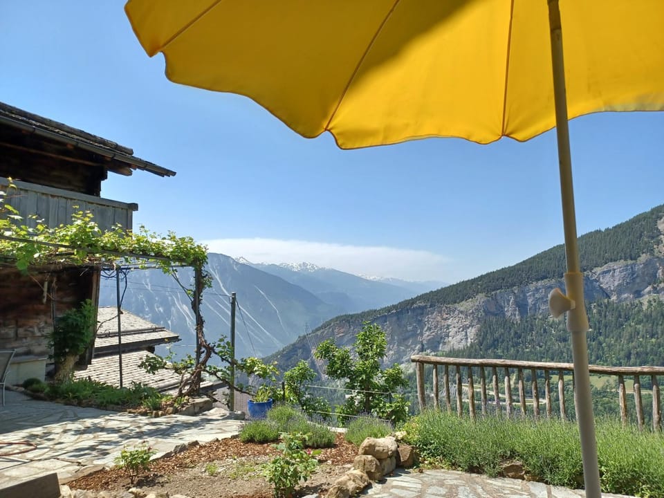 Natural landscape, Garden, View (from property/room)