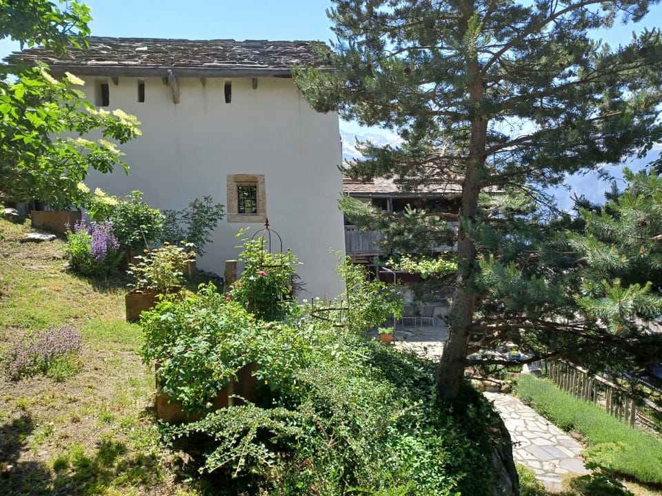 Property building, Garden, Garden