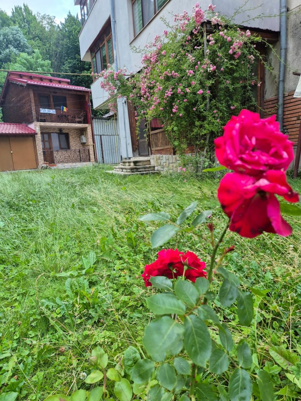 Apartament Slanic Moldova Apartment in Romania