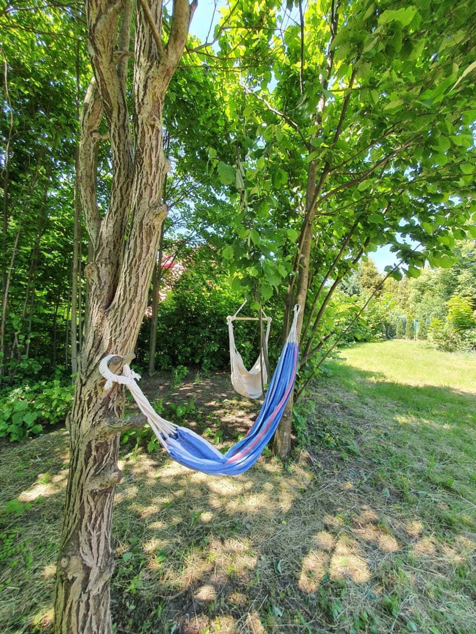Domek na Polanie House in Czechia